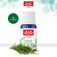 TISSLENA Minyak Pati (Cypress) - 12ml | TISSLENA Natural Essential Oil (Cypress) - 12ml