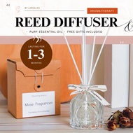 Reed Diffuser Fragrance Diffuser Home Fragrance Aromatherapy Oil Diffuser Essential Oil Room Fragran