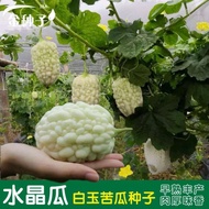苹果苦瓜，苹果苦瓜种子，水晶苦瓜，苦瓜种子，种子，Pingguo bitter gourd, crystal bitter gourd, bitter gourd seed, seed