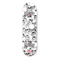 Santai Skateboard Complete Set TROY 8.00"