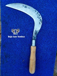 Arit Rumput baja isen tembus asli Wonosobo