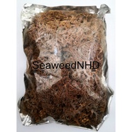 Sabah Seaweed / Rumpai Laut Sabah +/-1kg per pack