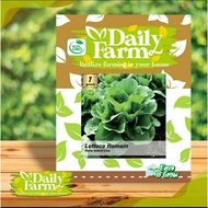 Bibit Benih  Selada Lettuce Cos - paris island