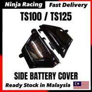 Suzuki TS125 / TS100 Side Cover SET , Side Panel LEFT & RIGHT TS 100 125 SEPASANG COVER BATTERY BATE