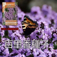 百里香種子 新舊包裝隨機發貨