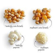 [SHIP TODAY] Pop Corn Biji Jagung Corn Kernel Bertih Jagung Mushroom Popcorn Mushroom Kernel 500G & 