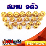 Set Of 9 Gold Star Pattern Nuts