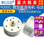 WGSD R300C Micro DC Motor Solar Experiment Motor High Speed Motor