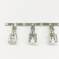 Continuous 3,000 Horizontal Winding Brass B Type 6.3/250 Coil with Terminal Insert Spring Tinned Fem