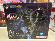 海賊王 霸王之兆 人獸型 一番賞 A賞 凱多NAMCO樂園版