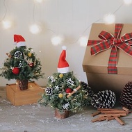 【 聖誕帽小樹DIY 】聖誕禮盒 在家手作 聖誕樹DIY 聖誕樹材料包