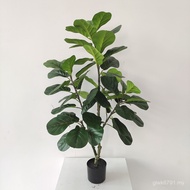 Evergreen Ornaments Potted Thick Rod Ready Stock Simulation Green Simulation Plant Leaf Planting Dec