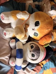 mofusand 鯊魚貓 可愛 貓咪 金影 銀影 金漸層 銀漸層 毛公仔