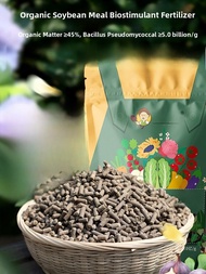 Organic Soybean Meal Compost Home Garden Fertilizer for Vegetable Flower Potted Plants Natural Botto