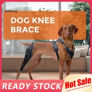 RC~ Adjustable Dog Leg Wrap for Comfort Dog Knee Brace for Acl Injury Dog Knee Brace for Acl Support