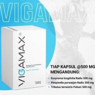 VIGAMAX CAPSUL 100% BPOM ORIGINAL ASLI GARANSI SUPLEMEN HERBAL ALAMI