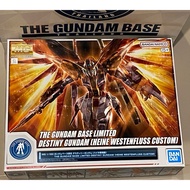MG 1/100 Destiny Gundam (Heine Wesenfluss Custom) [Gundam Base Limited] (Last Box!)