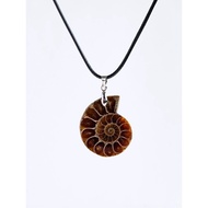Natural Fossil Ammonite Fossil Pendant Necklace Women Retro Leather Cord Necklace High-End Necklace