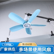 820Mosquito Net Ceiling Fan Two-color Five-blade Small Ceiling Fan Small Dormitory Ceiling Fan Mini 