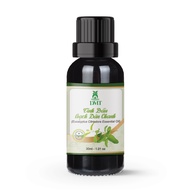 DMT Bạch Đàn Chanh Tinh Dầu Khử Mùi Thơm Phòng 30ml/50ml/100ml - Organic Eucalyptus Oil from Vietnam