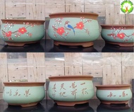 Drum Pot Purple Clay Bonsai Pot ZIsha 鼓盆紫砂花盆