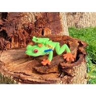 Simulated animal models: frog, triangular leaf frog, Darwin's frog, red-eyed tree frog, children's e