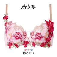 Wacoal Salute 26G BTJ426 P-UP push-up bra (Sizes D-F)(40BTJ426DFW)(Direct from Japan)1