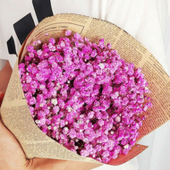 baomafanxi | Dried Gypsophila Flower Bouquet for Home Decoration