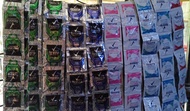 REXONA MOTIONSENSE AUTHENTIC DEO-LOTION NET VOL. 3ML PER SACHET 12 SACHETS PER GOOD TIE