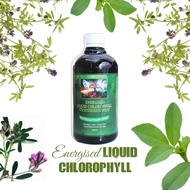 ENERGISED LIQUID CHLOROPHYLL (ALFAFA)