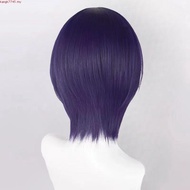 Anime Tokyo Ghoul Touka Kirishima Cosplay Wig 33cm Dark Purple Short Wigs Heat Resistant Synthetic H