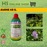 1L AMINE 48, 2-4D dimethylammonium 48% Racun Rumput Air, Herbicide