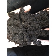 Peat moss wet 1Kg/3Liter