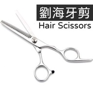 其他品牌 - 專業家用剪劉海牙剪-頭髮偷薄鉸剪 剪髮較剪 美髮剪刀