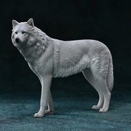 JXK Arctic Wolf White Wolf Snow Plain Wolf โมเดลสัตว์จำลอง ตุ๊กตาทหาร 1/6 ของเล่นทันสมัย โมเดลสัตว์