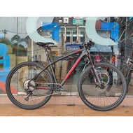 Fastfish Team Savanna 12 Speed Complete Bike Shimano Deore M6100  1x12 Full Carbon Bike