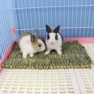 (ร้านกล่องทึบของเล่นตลก) แผ่นรอง Hay R-2เตียงทำจากหญ้าแห้งสำหรับกระต่าย【 Edible】กระต่ายของเล่นพรมหญ้าเทียมรังหญ้ากระต่าย