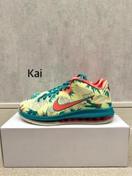 Nike Lebron 9 low Lebronald palmer