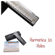 Harmonica 10 Holes