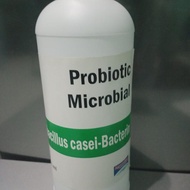 Culture Mikroba Lactobacillus casei