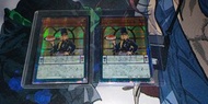 廚師 1202 25th 遊戲王 卡 qcser