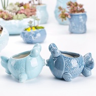 Small Simple Ceramic Animal Cartoon Succulent Plant Flowerpot Foreign Trade pxc4