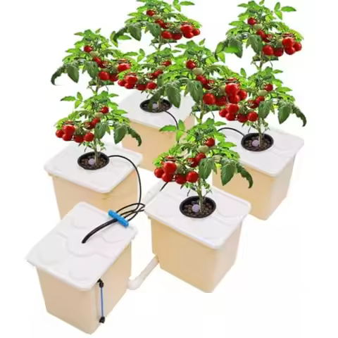 DWC Hydroponics Grow System Kit with 5-Bucket 2.91-Gallon Deep Water Culture Triangular Cover Design