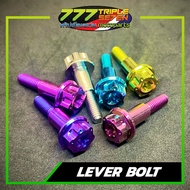 TITANIUM GR5 LEVER BOLTS BIG HEAD UNIVERSAL (SOLD PER PIECE)
