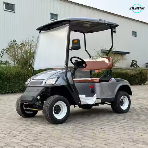 2025 New Model Factory Direct Sale Low Price 5kW Motor 2-Seater Electric Golf Cart Solar Panel Power