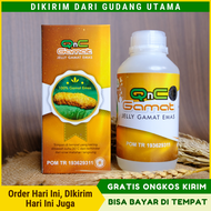 Qnc Jelly Gamat Emas 300 ML - Q N C Jelyy Jeli - Jeligamat - Jely Gamat Jely Jelli - Gammat - Game