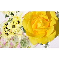 Nerolidol (CAS 7212-44-4)