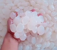 Kolang kaling super kolang kaling segar kolang kaling bahan Manisan kolang kaling medan 1kg bersih