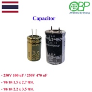 capacitor (capacitor/condenser) 250V 100 UF