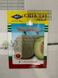 Benih Melon Hibrida F1 ACTION 88 dari Bisi Isi 10g